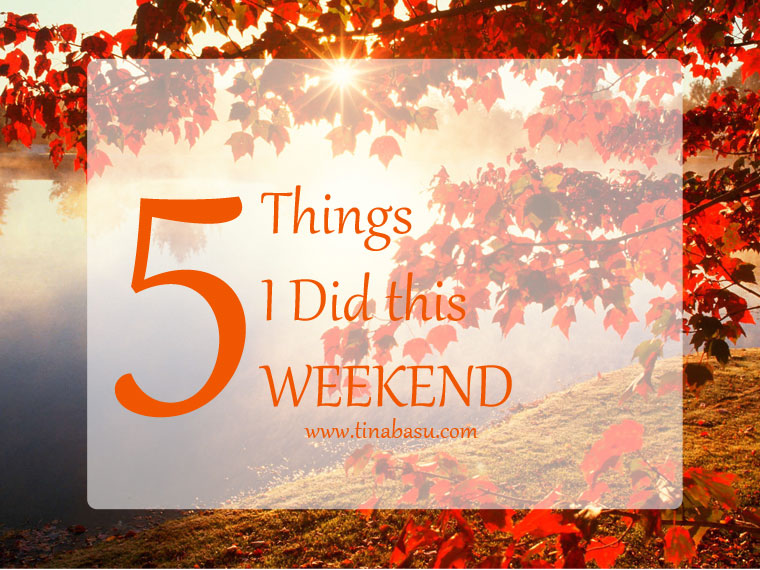 Five things I did this Weekend Did I tell you my parents are visiting me now/ I love it when my parents come down and spend a week or two with us. They are very outgoing and love travelling. So when they are here, you can’t manage to sit at home at all. So we have plans to go out almost every other day. Having Wonderful Food My mom’s a great cook and makes awesome Bengali dishes. They travelled in train only so that they could carry fresh fish, mutton, LOADS OF SWEETS and tons of presents for Bluey. Blame the baggage policy of airlines! So we gorged on delectable home-made restaurant quality food – mom style. There was mutton chanp, Chingri Malaikari, Chitol Kalia – a gastronomic pleasure! All of these will be posted in the food blog – so don’t worry Continued With Food at Barbeque Nation Barbeque Nation – the famous barbeque fine dining chain – has open right opposite our apartment. And given how big foodies we are how can we not have a Sunday Barbeque feast. Whenever I am at a BBQN I always instruct the servers – ONLY FISH, CHICKEN, PRAWNS ON THE GRILL. Yes I am a carnivore and I don’t want corn on the cob, mushrooms, pineapples, or anything vegetarian sitting in the skewers on my grill! I had 12 prawns yesterday! Okay they weren’t jumbo prawns. The only vegetarian started I like in BBQN is the Cajun Spiced Potato – so that little bit of that. Even Bluey enjoyed some Tandoori Fish and French Fries. But he didn’t like any dessert! Instead licked on a lollipop for a while! Gardening I absolutely love gardening – sowing seeds, watering watching the flowers bloom. I am currently having three varieties of rose in my container garden – a scarlet, a pink and white blend and yellow. The scarlet ones are pretty huge and they are blooming currently. I am growing some herbs and vegetables for the kitchen – organic and pesticide free. Did You Know – Mint is extremely easy to grow? Anyone can grow it. I’ll do a post on it. I replanted some mint this weekend. Falling in love with pencil and paper again Shinjini a.k.a Modern Gypsy inspired me to get me back to the art mode again. I had not sketched, doodled, painted with a pencil or color on paper for a long long time. Digital art had taken over everything – even professionally. But I started picking up the pencil again and made some sketches. This is what I did this Saturday. Inspiration from Google though! Started a New Book My last romance read – After You by Jojo Moyes was a disaster. I had loved Me Before You – the first book of the series but this book only made it clear why you shouldn’t write a sequel unnecessarily. It went so out of place I left in between for quite some time and finished it only because I wanted to get over with it! So now I started with The Girl Who loved a Pirate by Kulpreet Yadav. I am switching back to reading thriller and mystery – that’s my favorite genre. I hope this will be good. 