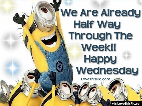 207685-we-are-already-half-way-through-the-week-happy-wednesday