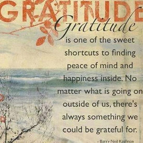 gratitude quote