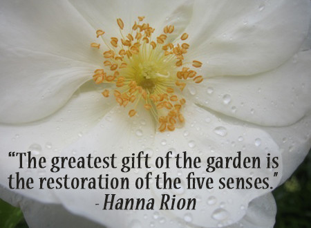 gardening-quotes3-450x330