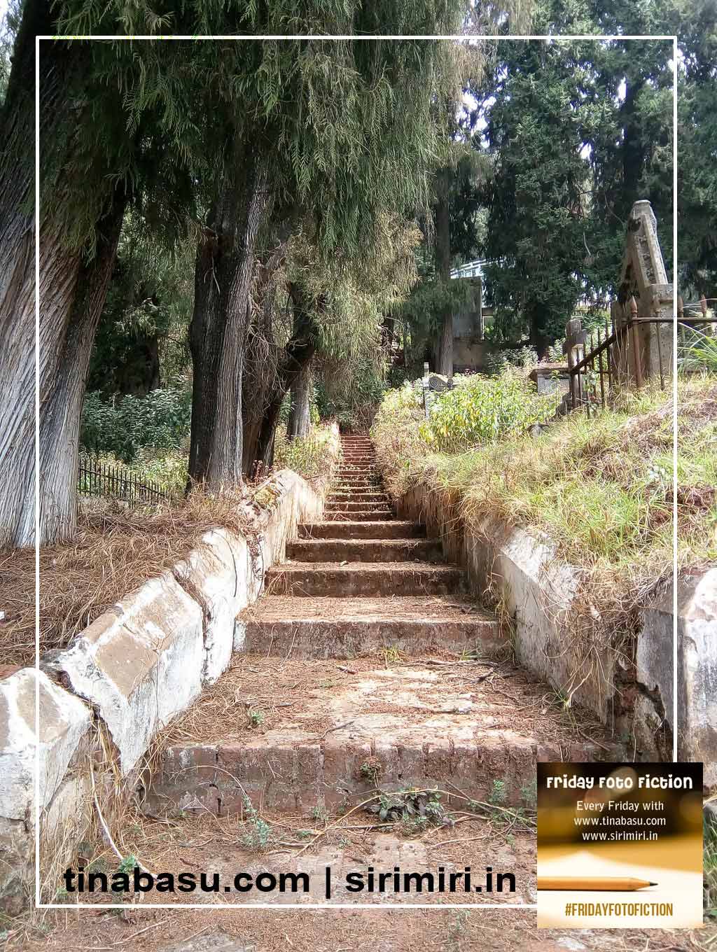 stairs-in-the-wild-photo-prompt-friday-foto-fiction