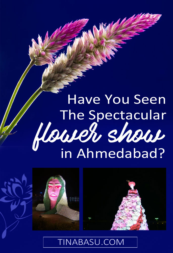 flower show in AHmedabad