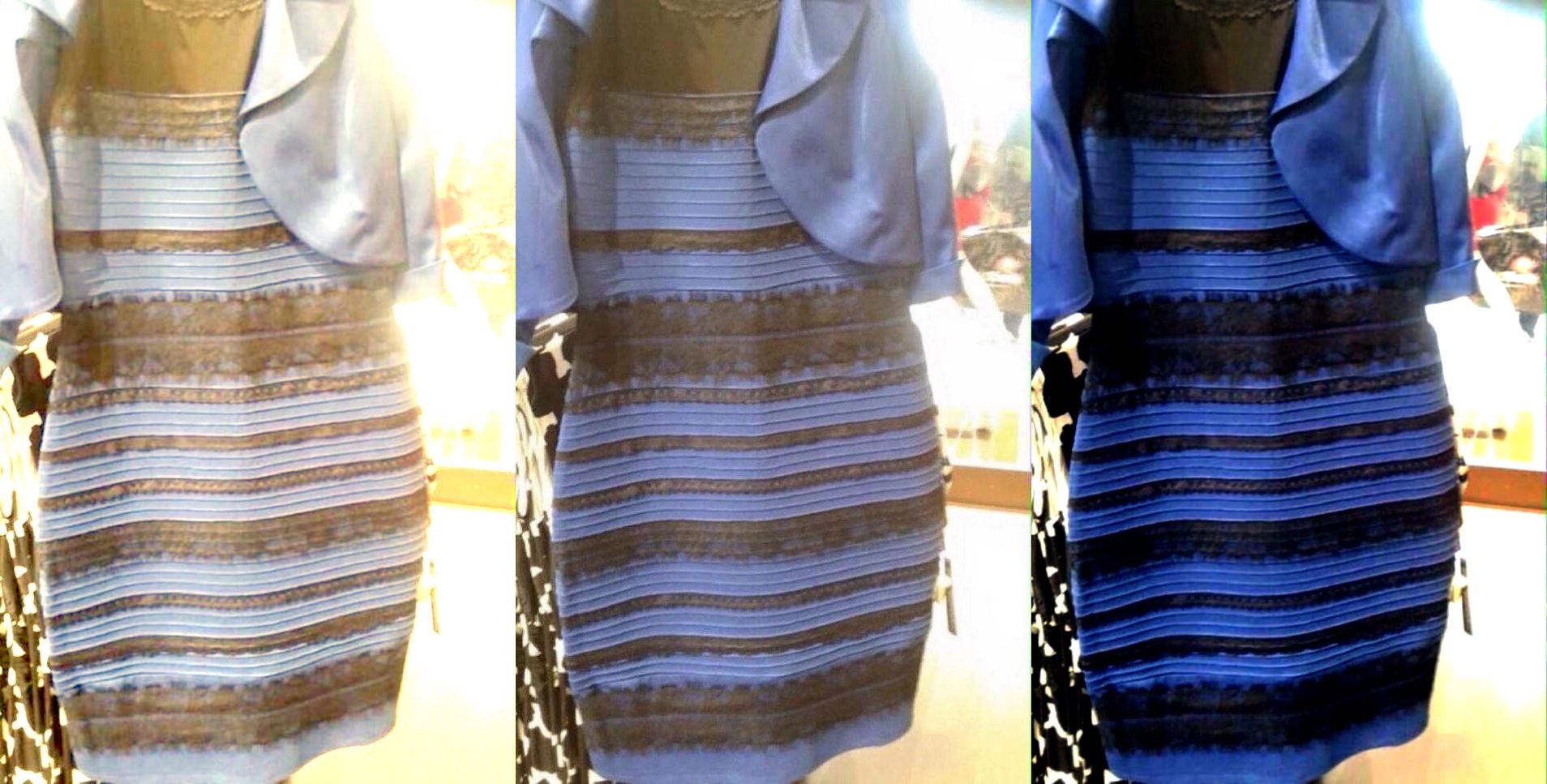 internet fads - the dress