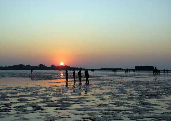 Camping sites near Mumbai Revdanda beach