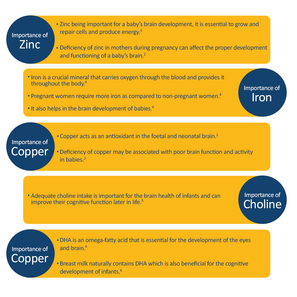 Child's Brain Development - Brain nutrients