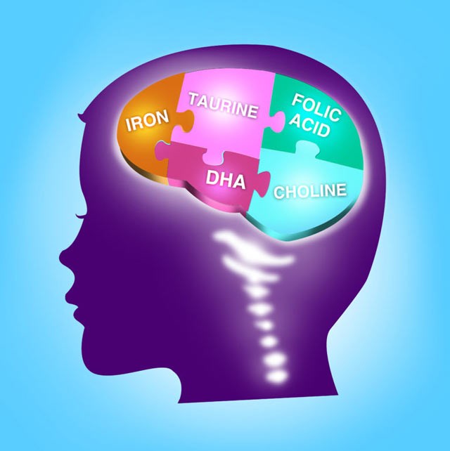 DHA for Child's Brain Development