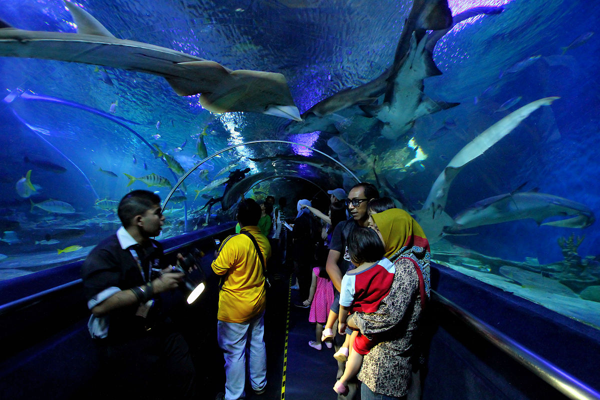 aquaria KLCC - places to visit in Malaysia