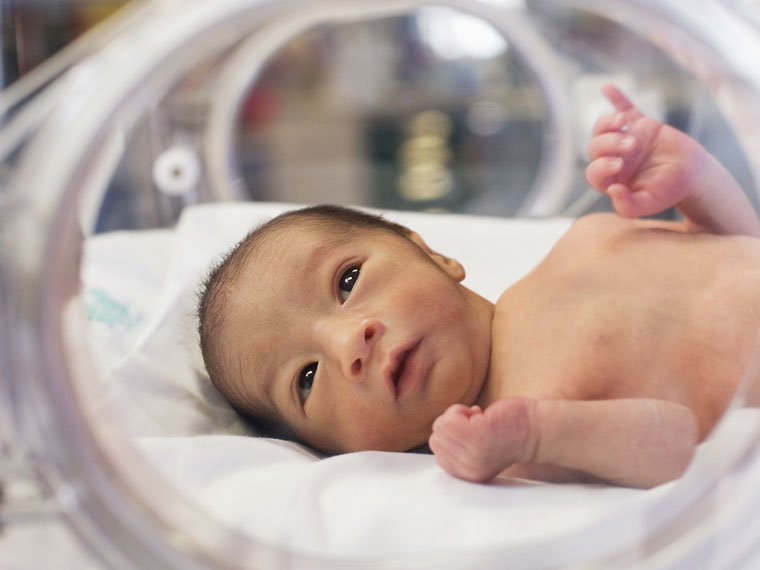 myths about premature baby nutrition