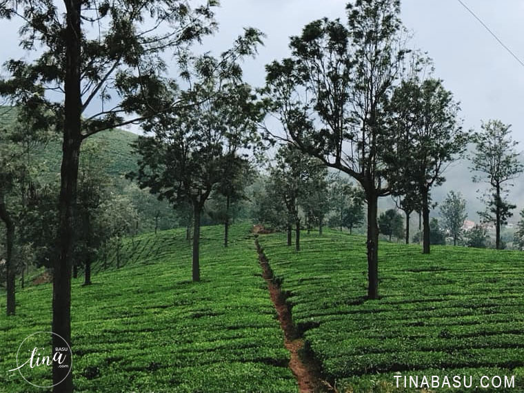 Coonoor