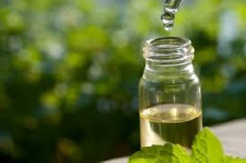 tea tree oil to fight acne in monsoon