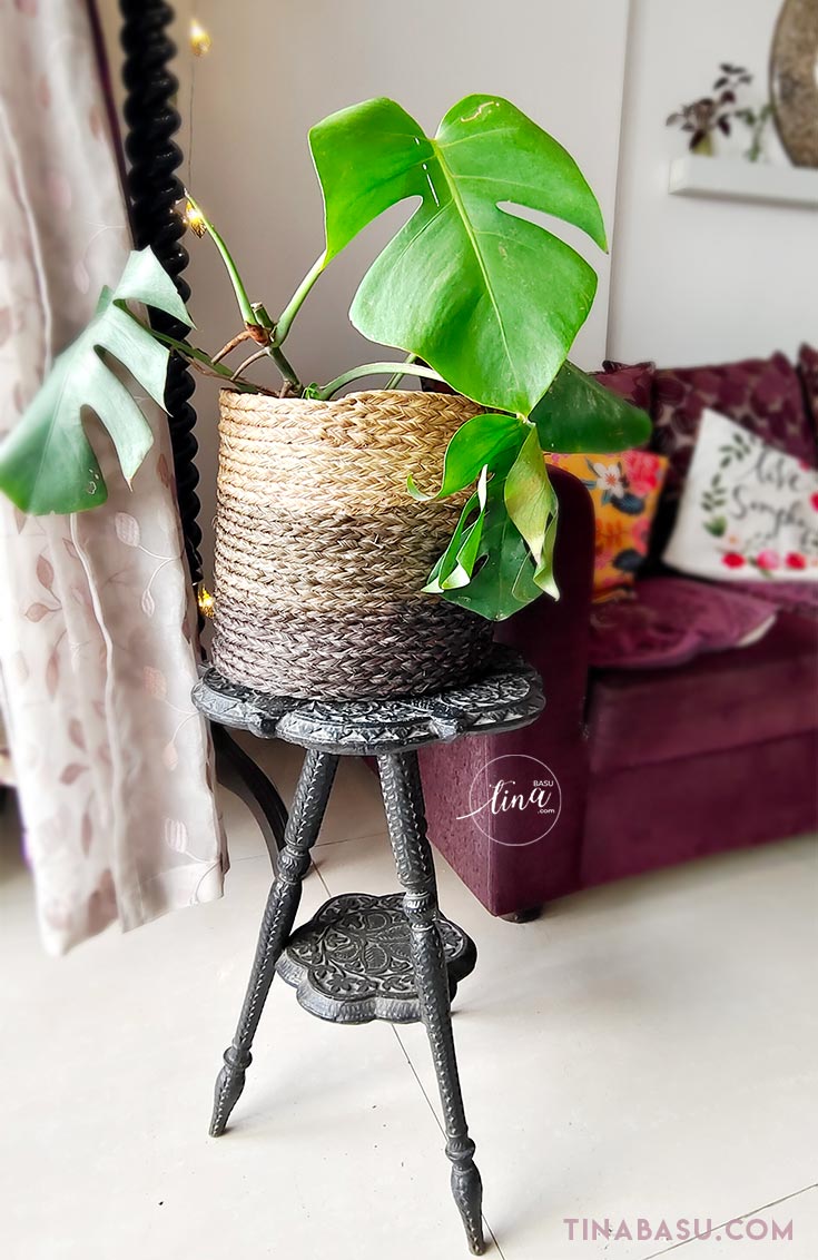 sabai-grass-planter-home-decor-handicraft-item-itokri