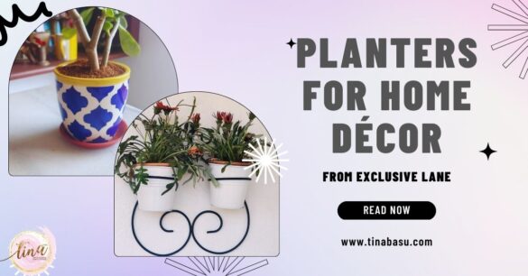 planters for home decor exclusive lane review